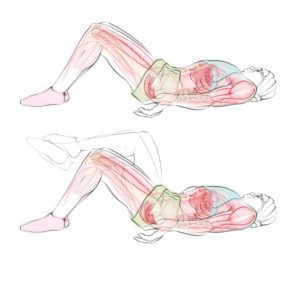 pelvic floor exercise