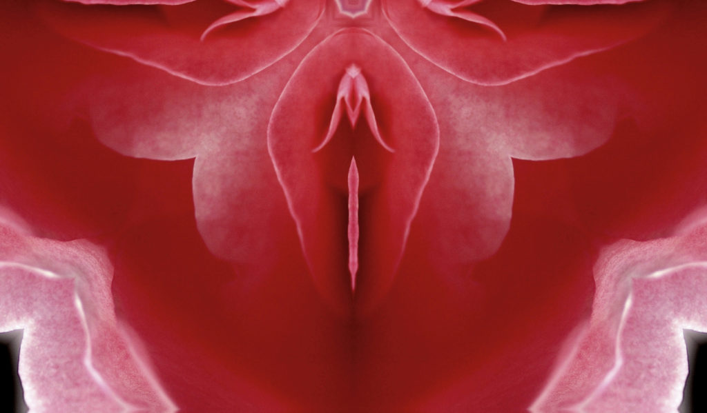 The week of the vagina