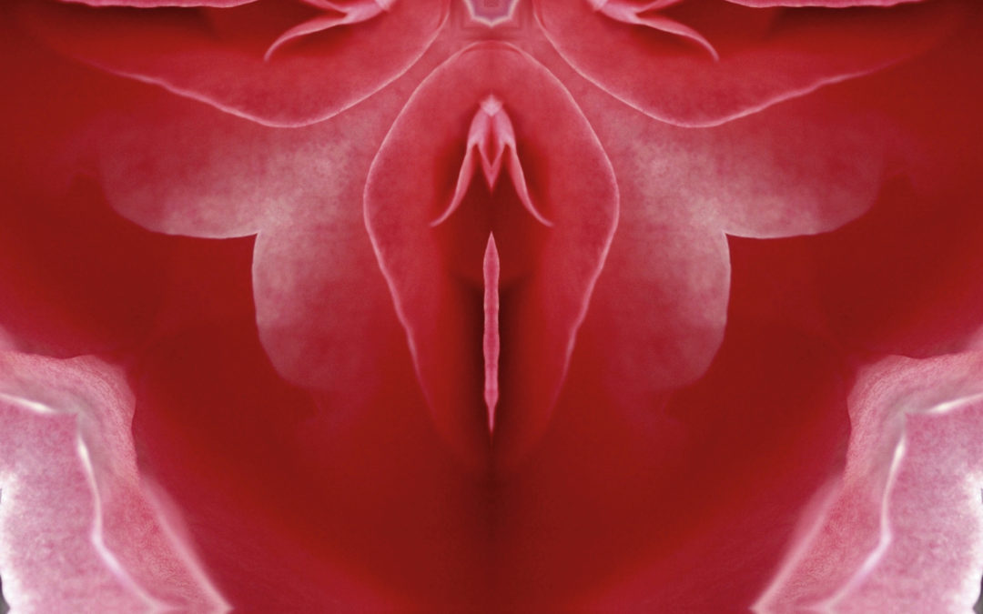 The week of the vagina