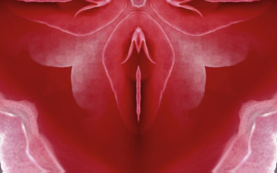 The week of the vagina
