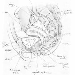 Why a Hysterectomy may cost you more than your uterus